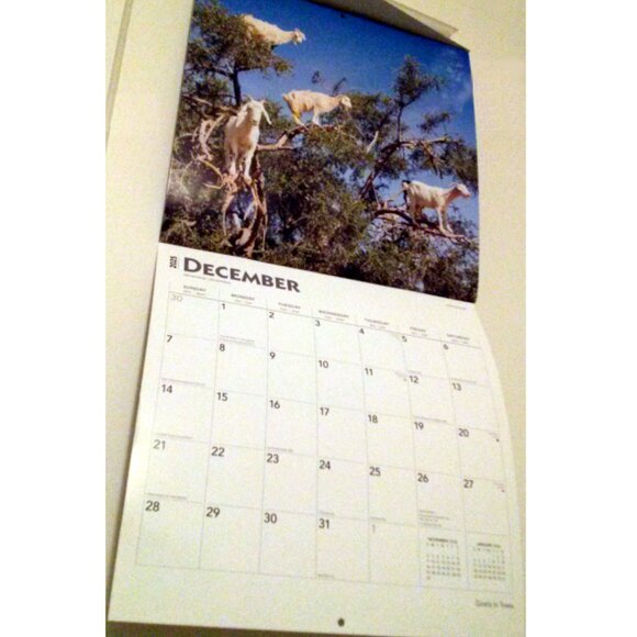 2025 Calendar, Goats in Trees, Monthly, 12" x 24" - Opened, Great Condition - Picture 13 of 15